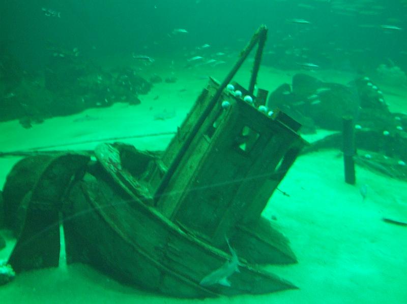 Sofia i  Oceaniariet 031.jpg